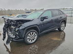Toyota RAV 4 2024