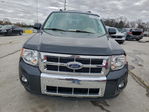 Ford Escape 2011