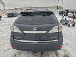 Lexus RX 2010