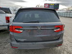 Honda Odyssey 2023