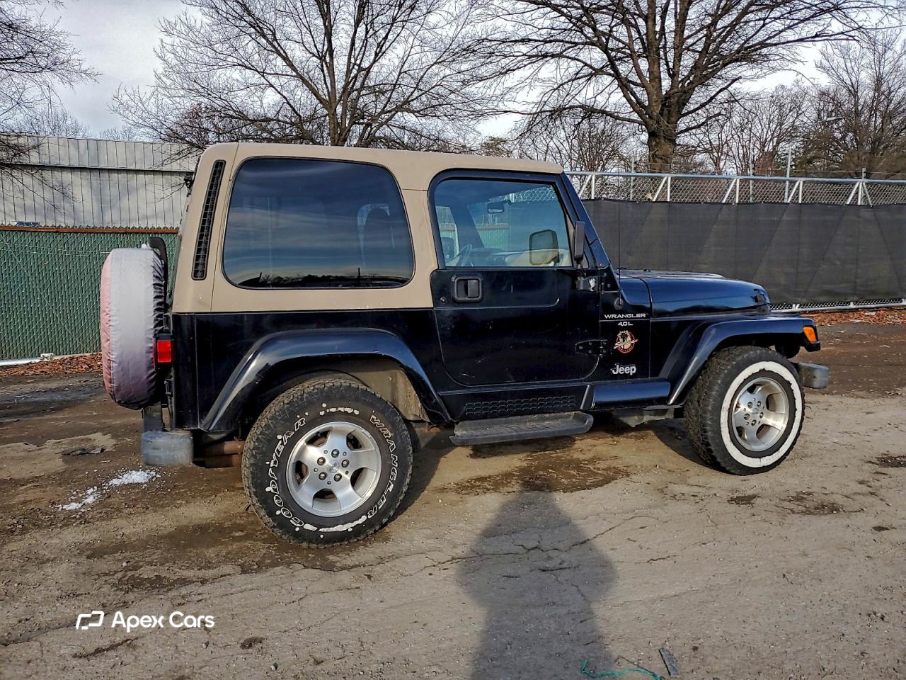 Jeep Wrangler 1999