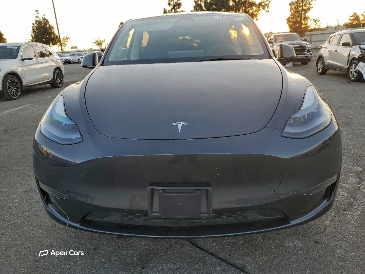 Tesla Model Y 2025