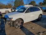 Audi SQ5 2016