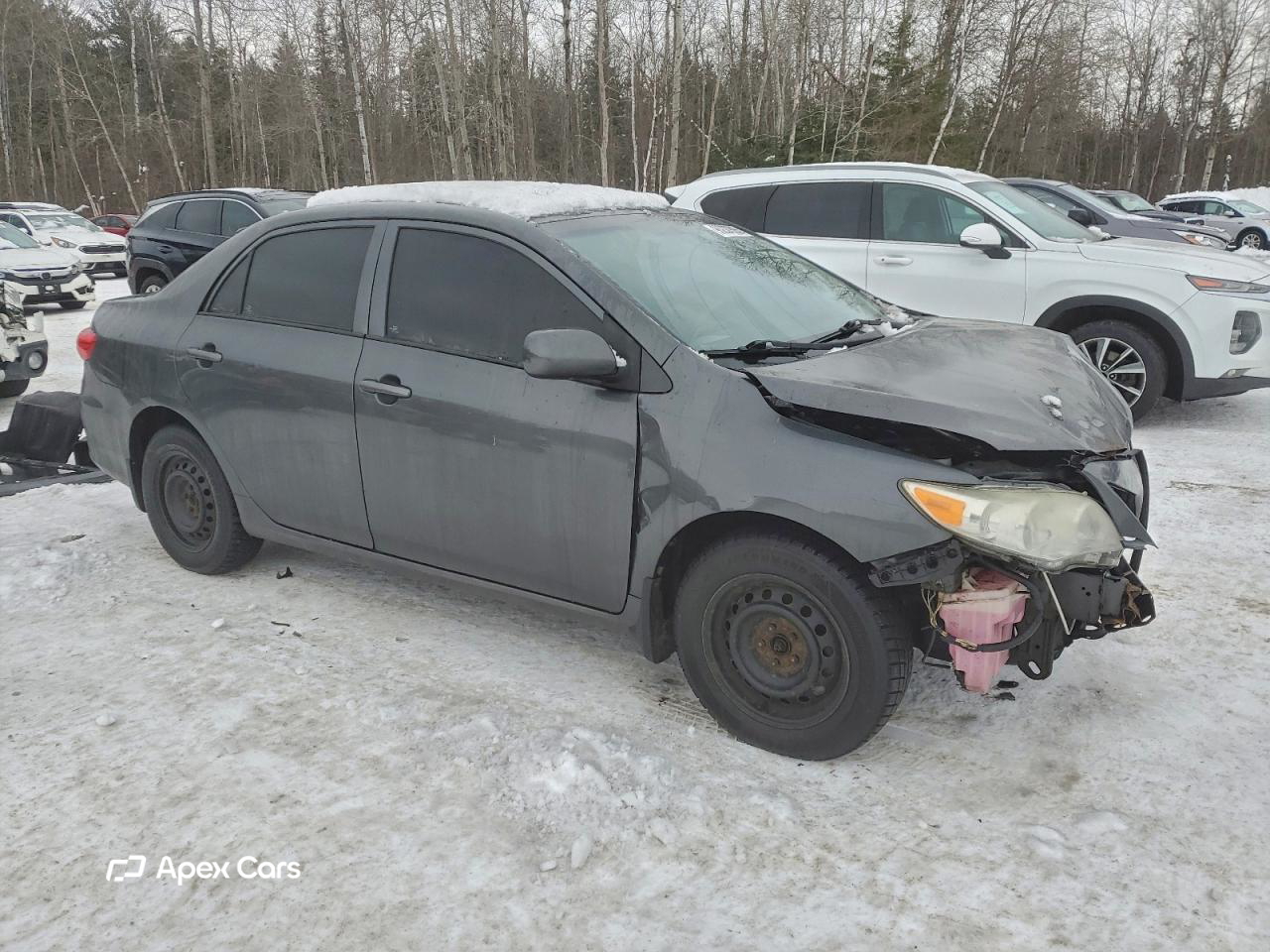Toyota Corolla 2011