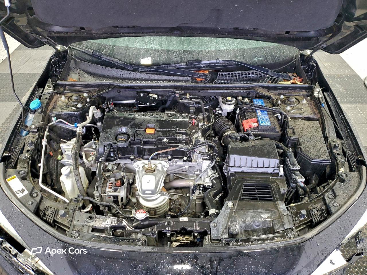 Honda Civic 2023