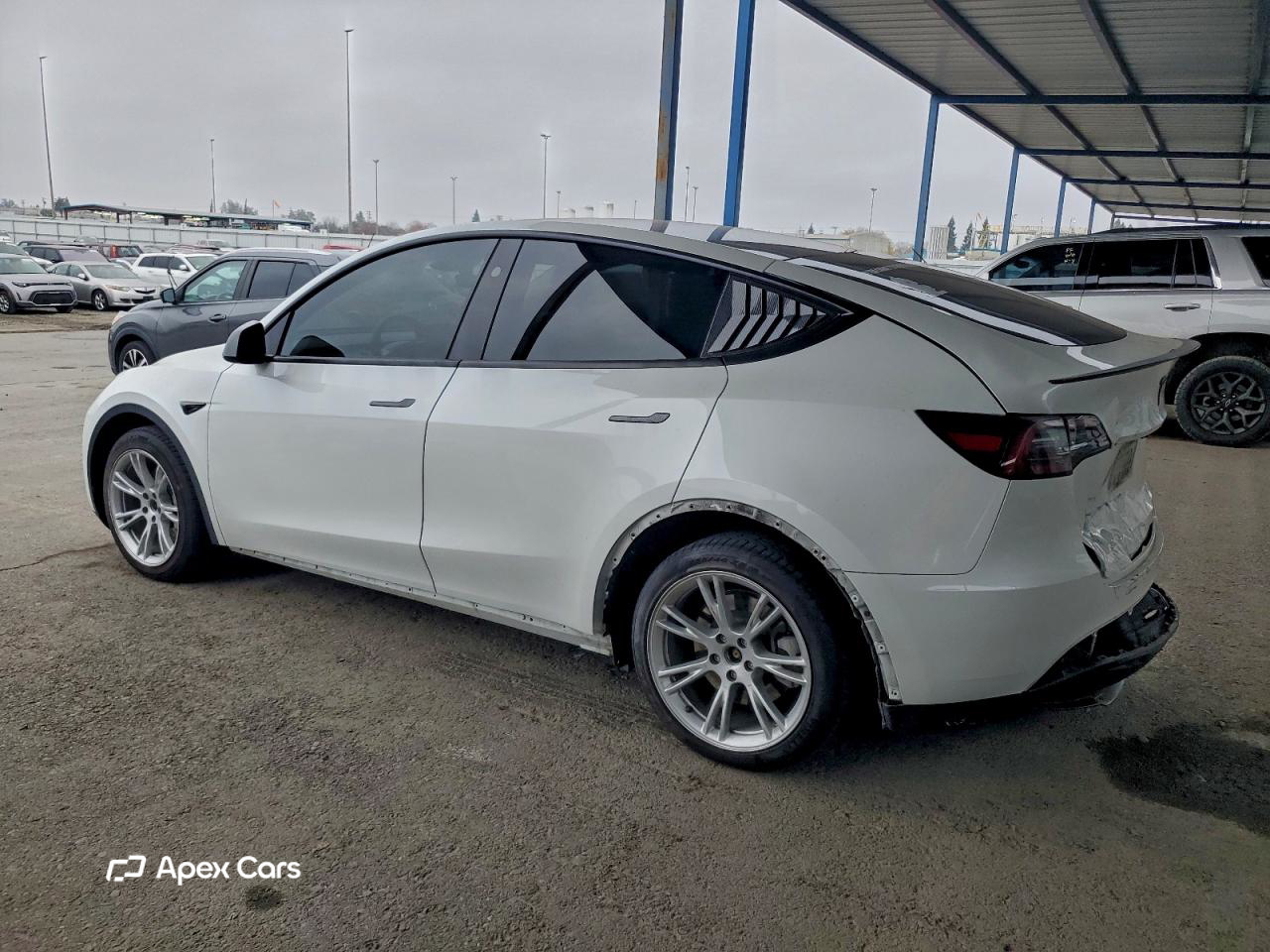 Tesla Model Y 2024