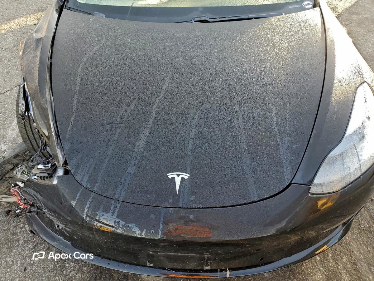 Tesla Model 3 2019