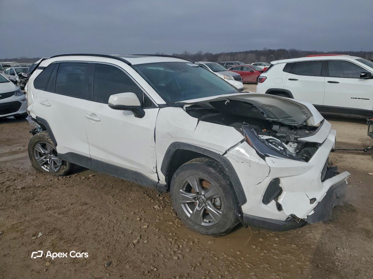 Toyota RAV 4 2024
