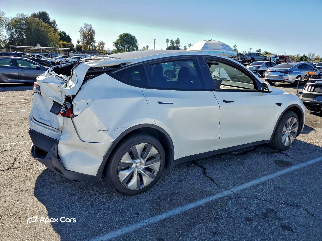 Tesla Model Y 2024