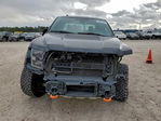 Ford F-150 2017