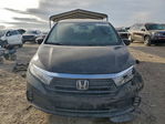 Honda Odyssey 2021