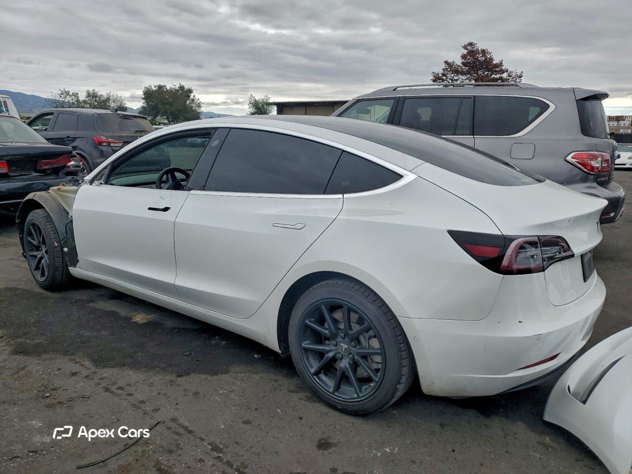Tesla Model 3 2020