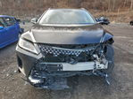 Lexus RX 2020