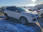 Ford Escape 2014