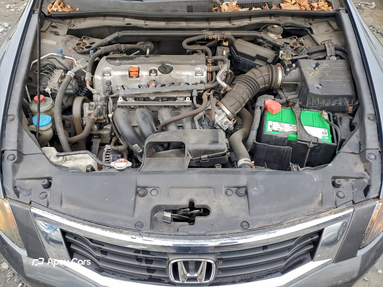 Honda Accord 2010