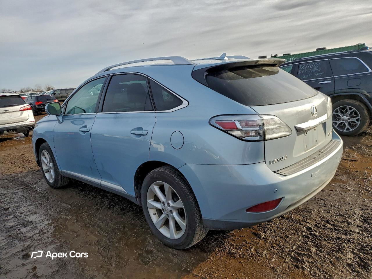 Lexus RX 2010