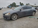 Nissan Maxima 2014