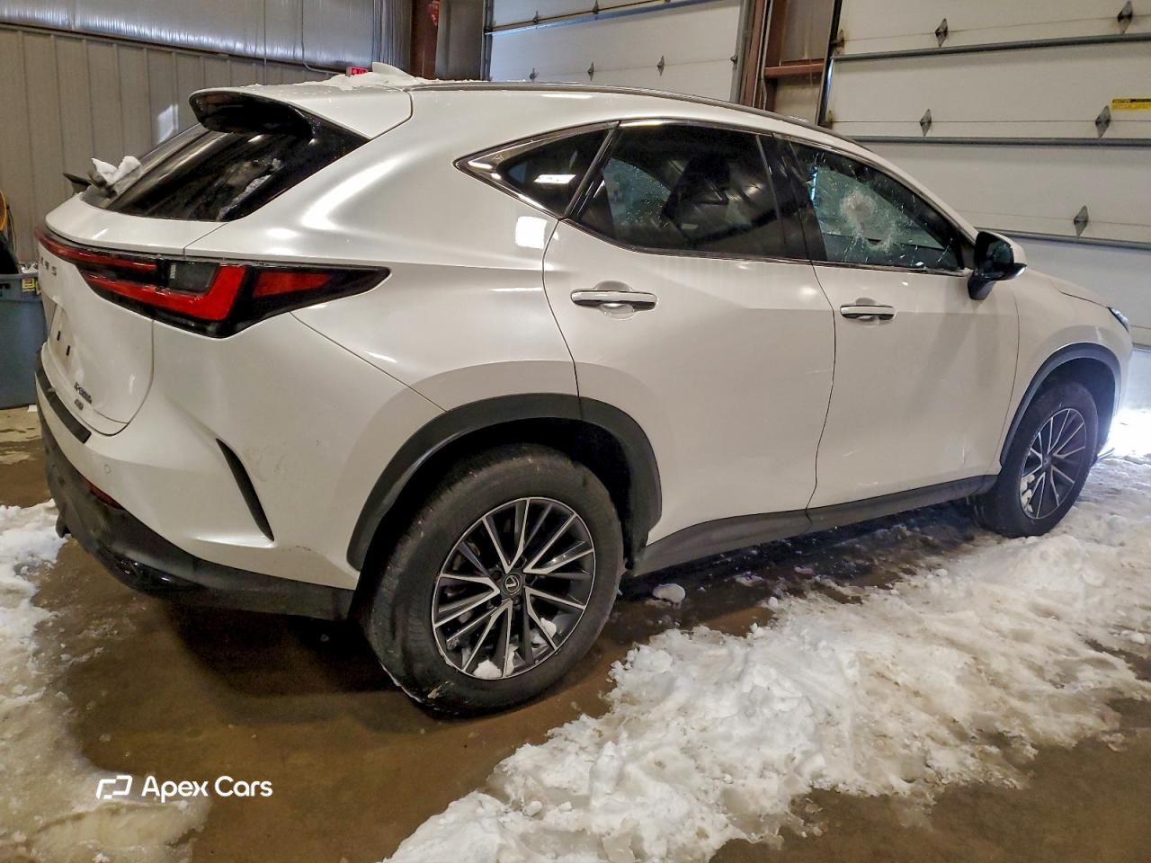 Lexus NX 2024