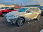 Lexus NX 2019