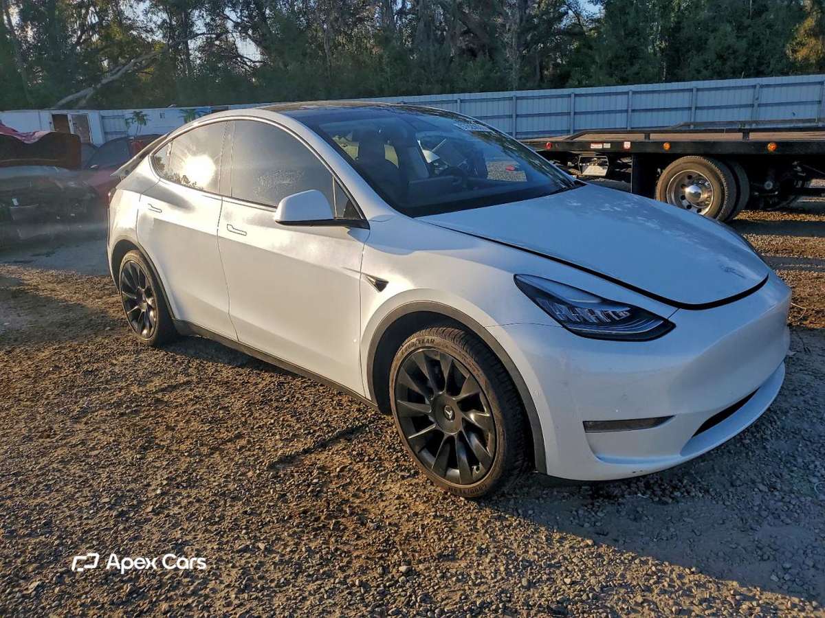 Tesla Model Y 2020