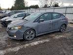 Nissan Leaf 2018