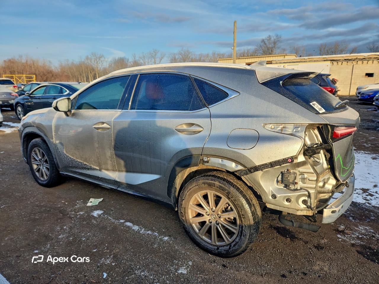 Lexus NX 2019