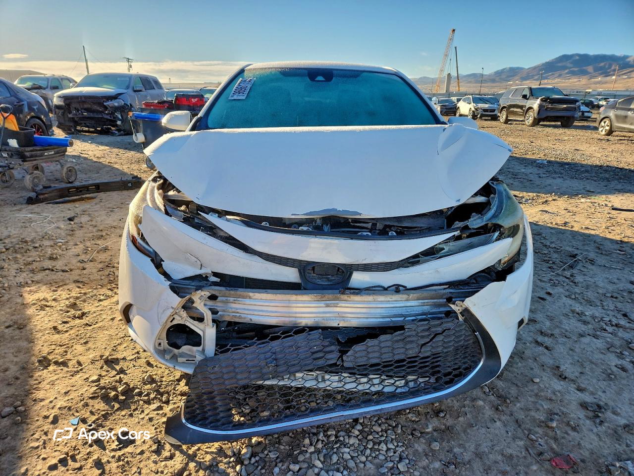 Toyota Corolla 2021