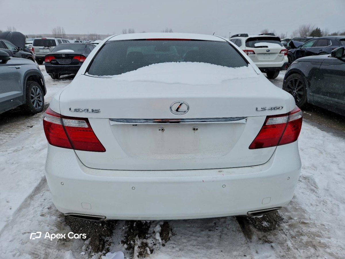 Lexus LS 2007