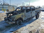 Ford F-150 2013