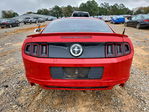 Ford Mustang 2014