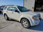 Ford Escape 2009