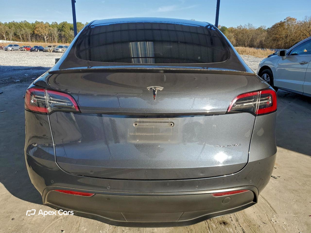 Tesla Model Y 2020