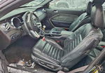 Ford Mustang 2007