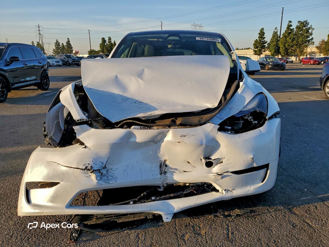 Tesla Model Y 2024