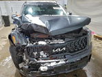 Kia Telluride 2024