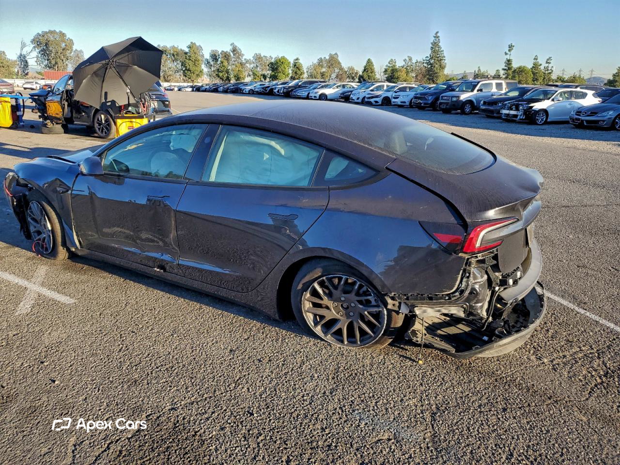 Tesla Model 3 2025
