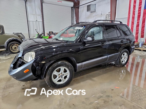 Hyundai Santa Fe 2003 - Image 1 of 12