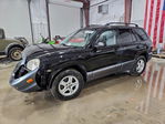 Hyundai Santa Fe 2003
