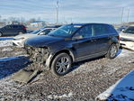 Ford Edge 2013