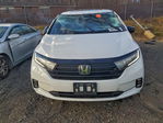 Honda Odyssey 2024