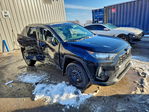 Toyota RAV 4 2020