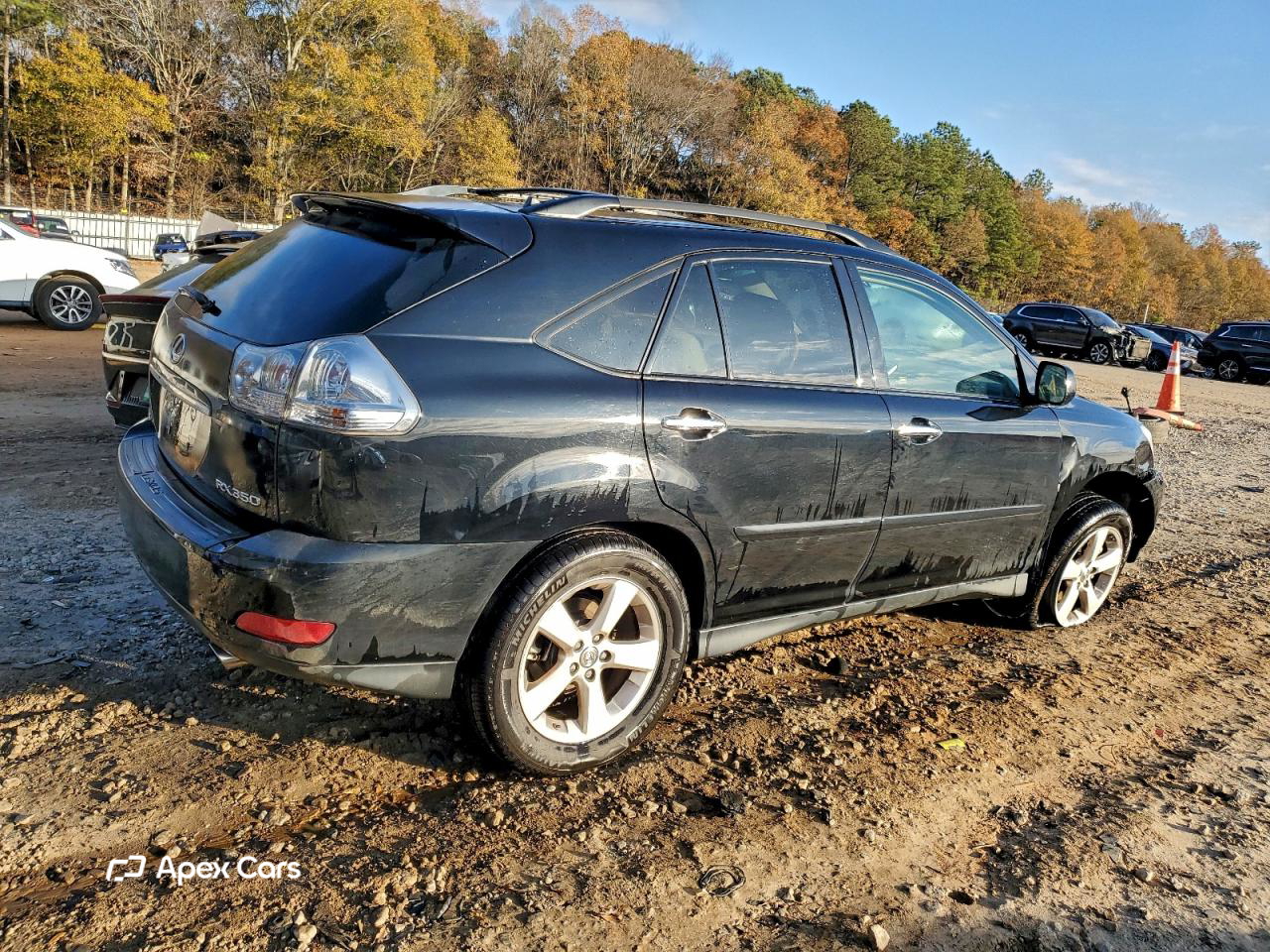 Lexus RX 2008