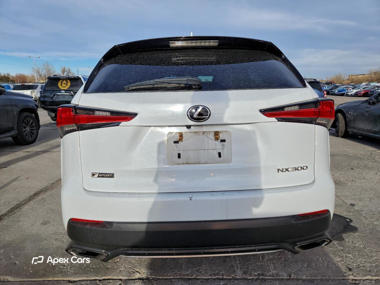 Lexus NX 2018
