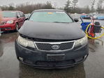 Kia Forte 2011