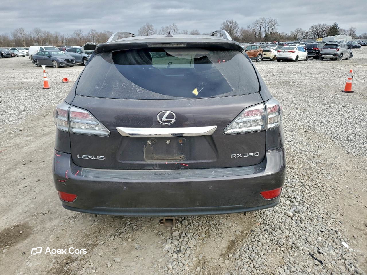 Lexus RX 2010