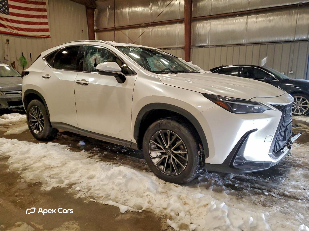 Lexus NX 2024