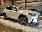 Lexus NX 2024