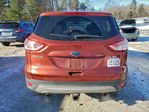 Ford Escape 2014