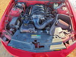 Ford Mustang 2006