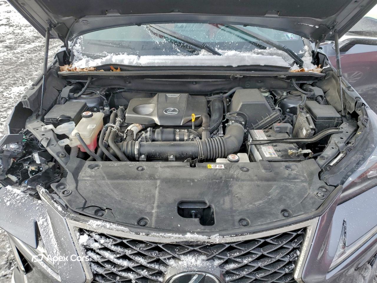 Lexus NX 2021